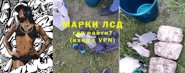 гидропоника Елабуга