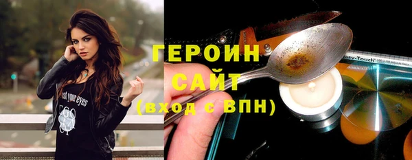 гидра Ельня