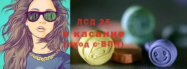 гидра Ельня
