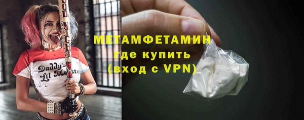 гидра Ельня