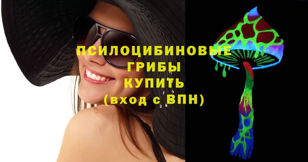 гидропоника Елабуга