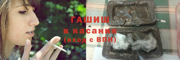 гидра Ельня