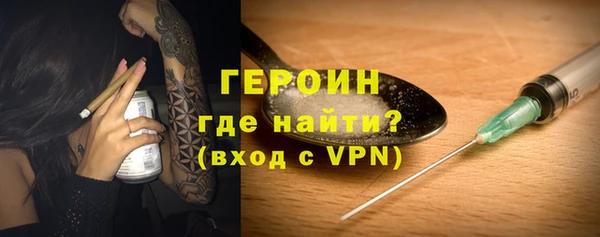 гидра Ельня