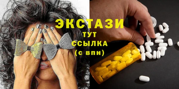 гидра Ельня