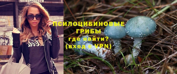 гидра Ельня