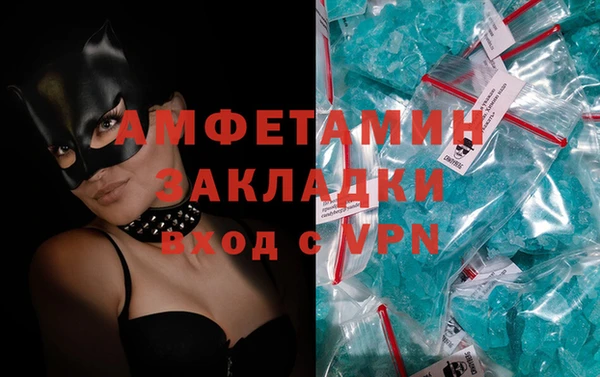 гидра Ельня