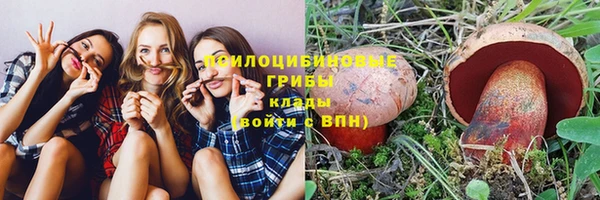 гидропоника Елабуга