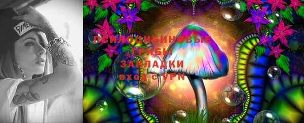 прущий лед Елизово