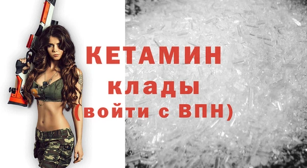 гидра Ельня
