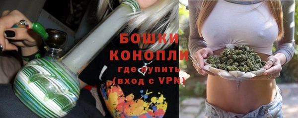 гидропоника Елабуга