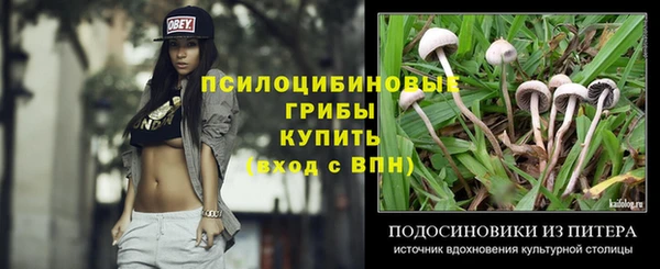 гидропоника Елабуга