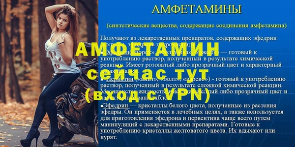 гидра Ельня