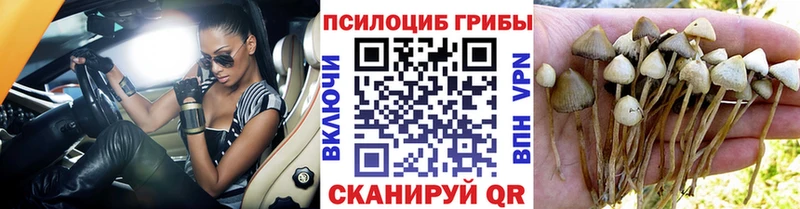 Галлюциногенные грибы GOLDEN TEACHER  Камень-на-Оби 